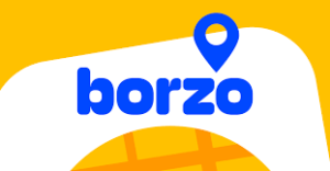 borzo customer care number